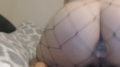 Phat White Teen Twerking Juicy Ass-Hole In Fishnet Stockings With Anal Plug