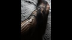 Fishnet Stocking: Leg & Feet