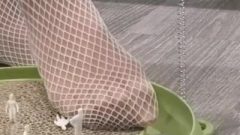 Giantess Playing With Little People In Fishnet Stockings