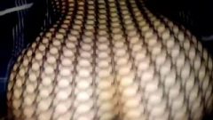Mesmerizing Fishnet Reverse Cowgirl And Doggy Position Cream Pie